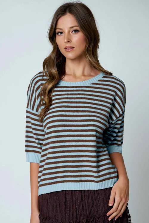 Stripe Contrast Trim Short Sleeve Knit Sweater - Brown