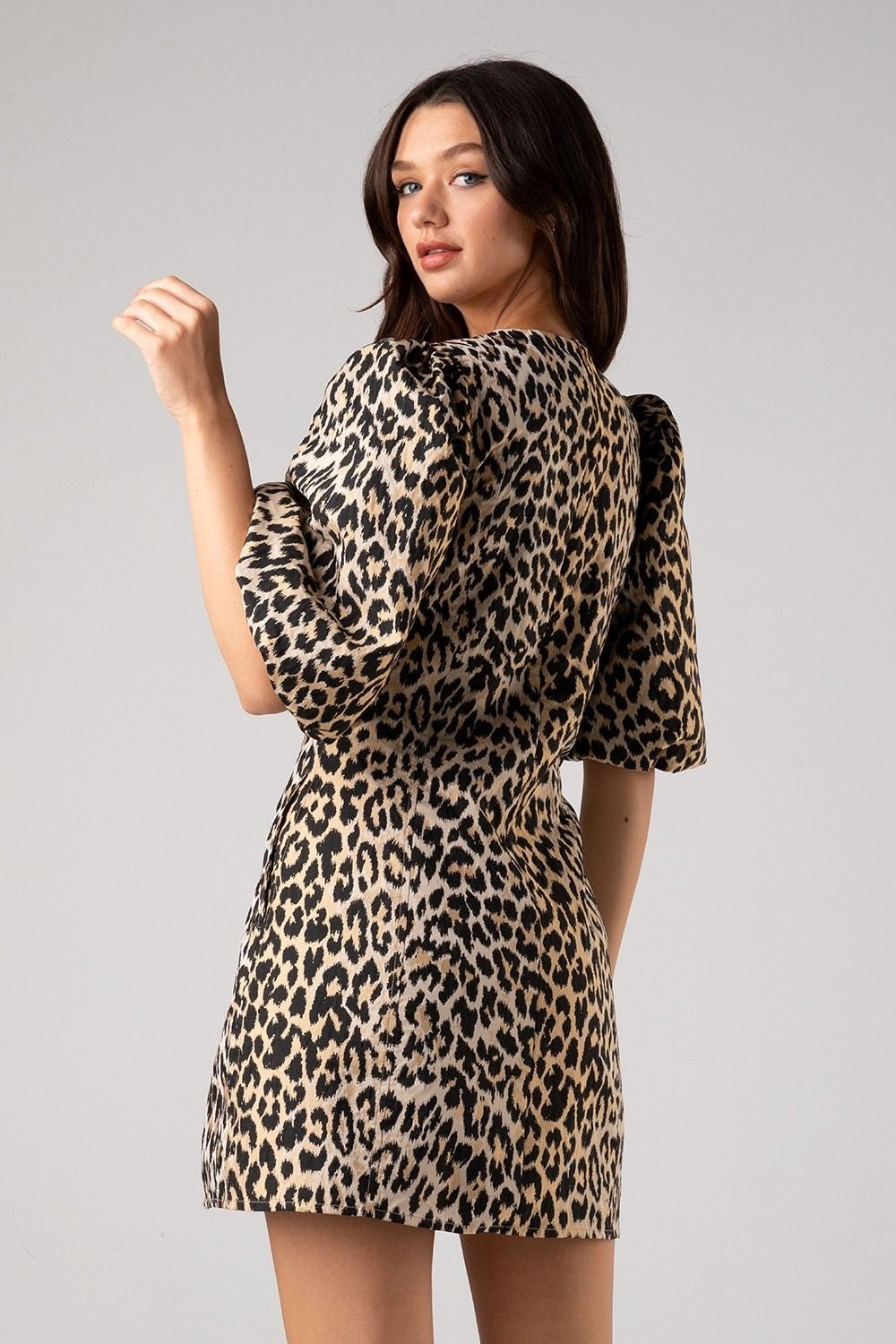 Jacquard Leopard Print Puff Sleeve Mini Dress sold by A Velvet Window