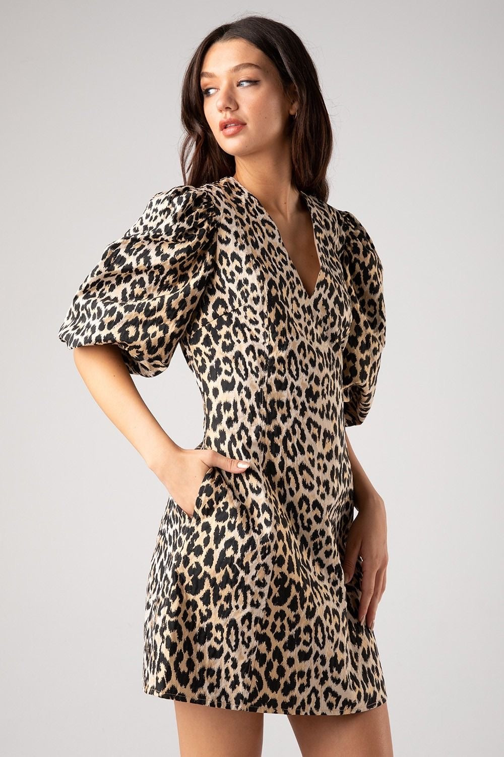 Jacquard Leopard Print Puff Sleeve Mini Dress sold by A Velvet Window